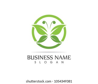 Green butterfly logo design vector