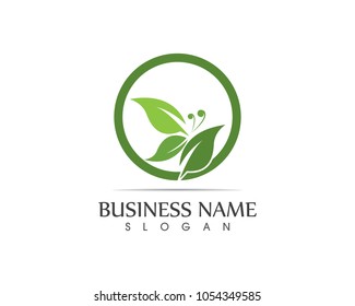 Green butterfly logo design vector