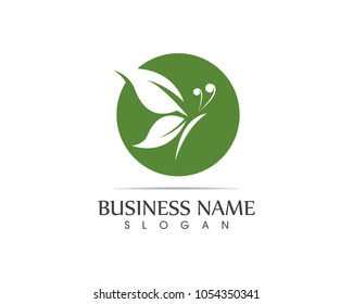 Green butterfly logo design vector
