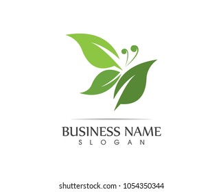 Green butterfly logo design vector