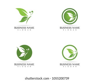 Green butterfly logo design vector illustration