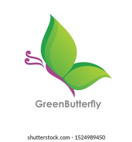 green butterfly logo design vector