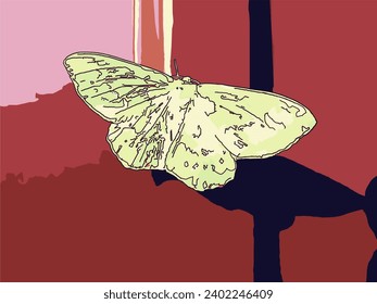 A green butterfly resting on a wall during a sunny day.