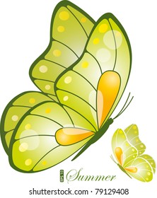 Green butterfly, vector illustration, eps-10