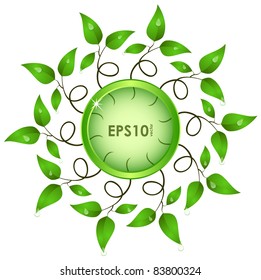 Green button and shoots of plants on the white background