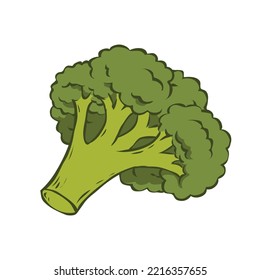 Green cabbage broccoli. Delicious and nutritious vegetable. Healthy diet food. Ingredient for cooking. Cartoon vector illustration isolated on white background. Hand drawn sketch