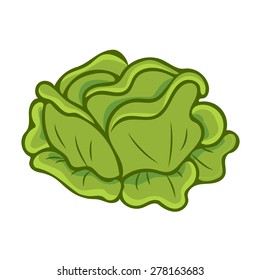 green cabbage cartoon isolated illustration on white background