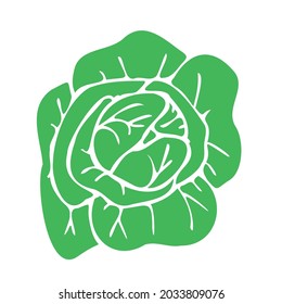Grüner Kohl für Design-Logo-Symbol