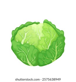 Green cabbage in flat design. Natural vegetable for healthy salad meal. Vector illustration isolated.