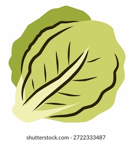 Repollo verde en estilo de ilustración plana para temas de alimentación saludable y nutrición. Adecuado para cocinar imágenes, planes de dieta y contenido de verduras.