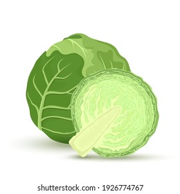 green cabbage and half of cabbage isolated on white background . Vector illustration  in a flat style.. ingredients for cooking.