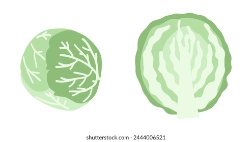 Green cabbage. Hand drawing vegetables isolated on white. Cartoon kids drawn vector illustration