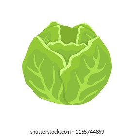 Green cabbage head cartoon isolated vector icon. Round vegetable, leaves and cob or stalk, salad veggie, farm and agriculture theme, grocery vegetarian