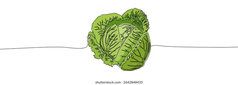 Green cabbage head drawn with one continuous black line on white background. Minimalist vector illustration with green color fill. Food and vegetable concept for design and print