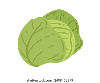 Repollo verde. Alimentos vegetales orgánicos saludables. Perfecto para conceptos de alimentación saludable, recetas vegetarianas y promociones del mercado de alimentos. Ilustración vectorial aislada sobre fondo blanco.