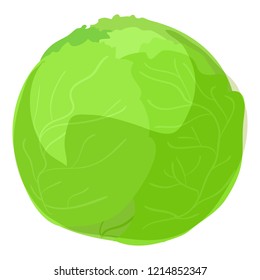 Green cabbage icon. Cartoon of green cabbage vector icon for web design isolated on white background