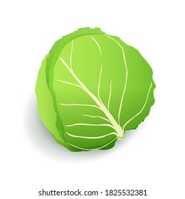 Green cabbage icon isolated, fresh farm organic healthy food, vegetable, vector illustration