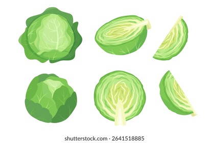 Green Cabbage icon set. Whole and cutted fresh vegetable. Green leaves farm plant cabbage and pieces. Organic healthy vegetarian food. Vector illustration isolated on white background.
