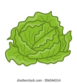 green cabbage isolated illustration on white background