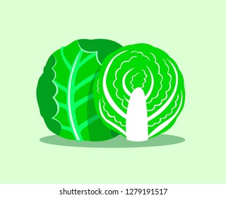 Green cabbage isolated on green background.