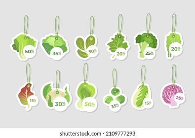 Green cabbage promo retail tag hanging on rope collection vector flat illustration. Seasonal vegetable advertising label local market supermarket sale discount. Natural organic vitamin food selling