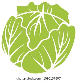 green cabbage vector icon