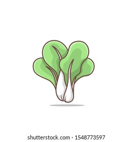 green cabbage vector illustration in isolated white