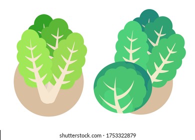 Basura verde, vegetal aislada de fondo blanco. Ilustración vectorial de diseño plano.