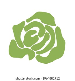 Green cabbage. Vegetable. Vector illustration in a flat style on an isolated background. An element for summer autumn decor, recipe design, sticker.