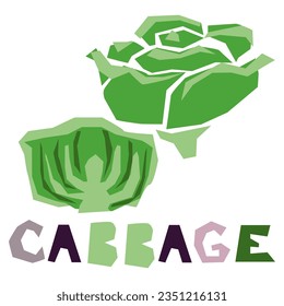 Green cabbage, whole and in section, highlighted on a white background. The original signature is cabbage. Products from the farmer's market, organic food. Geometric stylized flat vector illustration