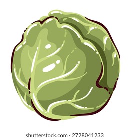 Green cabbage whole vegetable with layered leaves and round shape, fresh cabbage head for cooking, salads and soups, raw cabbage ingredient, cartoon vector illustration