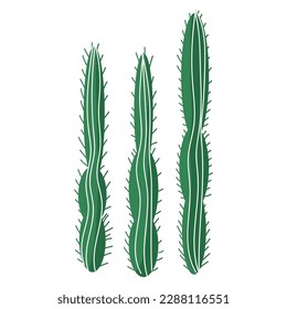 Green cacti on white background