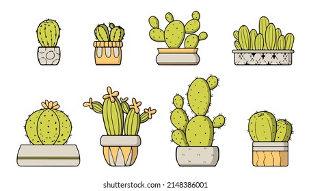 Green cacti in pots. A set of vector illustrations. Indoor plants.