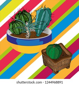 green cacti in a striped background