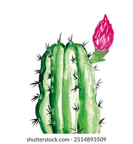 green cactus with black needles pink with white color drawn in watercolor