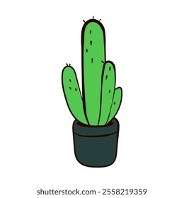 Green Cactus in Black Pot