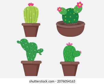Green Cactus ,bright cacti flowers isolated on white background.design vector illustrator