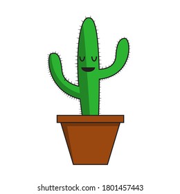 Green cactus in brown pot
