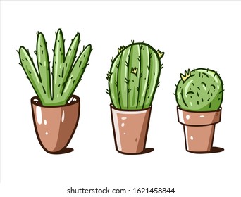 Green cactus in brown pots. Hand drawn vector illustration. Cartoon style. Isolated on white background.