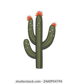 Green cactus desert plant image, cartoon style vector illustration isolated