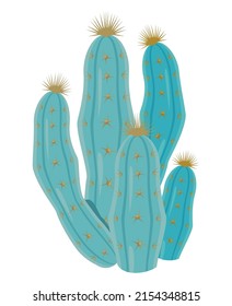 green cactus dry nature icon