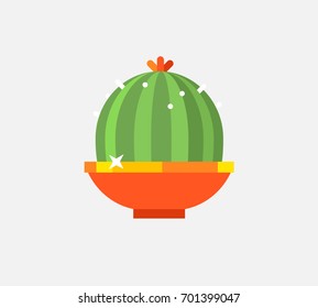 Green cactus with flower in a gold pot. Flat and vector illustration for site