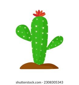 Green cactus with flower isolated on white background. Colorful flat floral illustration. Cactus in cartoon style. Vector