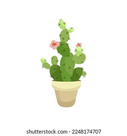 Green cactus with flowers flat vector illustration. Indoor flower or plant in flowerpot or vase, cactus in pot isolated on white background. Interior, urban jungle concept