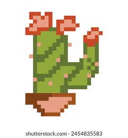 Green cactus with flowers in a pot pixel-art. home plant. Game development, mobile application development. Isolated vector illustration.