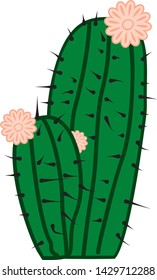 green cactus with flowers in vector