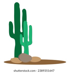 Green cactus graphic print design for Collection of exotic plants. Decorative natural elements are isolated