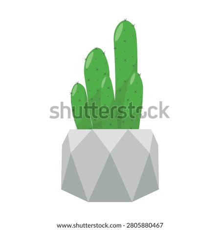 Green cactus growing in a modern geometric gray planter isolated on white background