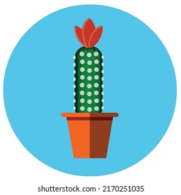 El cactus verde ha florecido en una hermosa flor y nos agrada