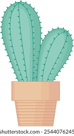 Green Cactus. House Plant Illustration